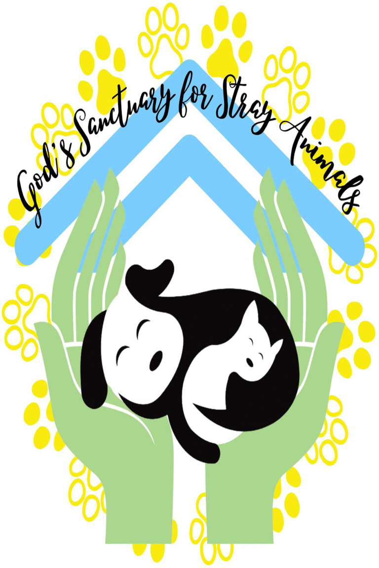 1000kg frozen meats for the rescue cats and dogs!